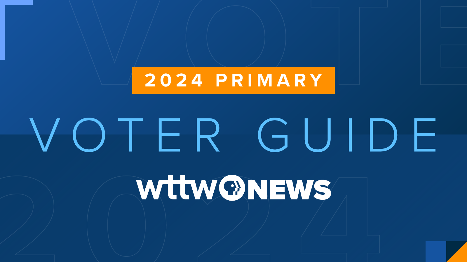 2024 Illinois Primary Ballot Measures Chicago News WTTW