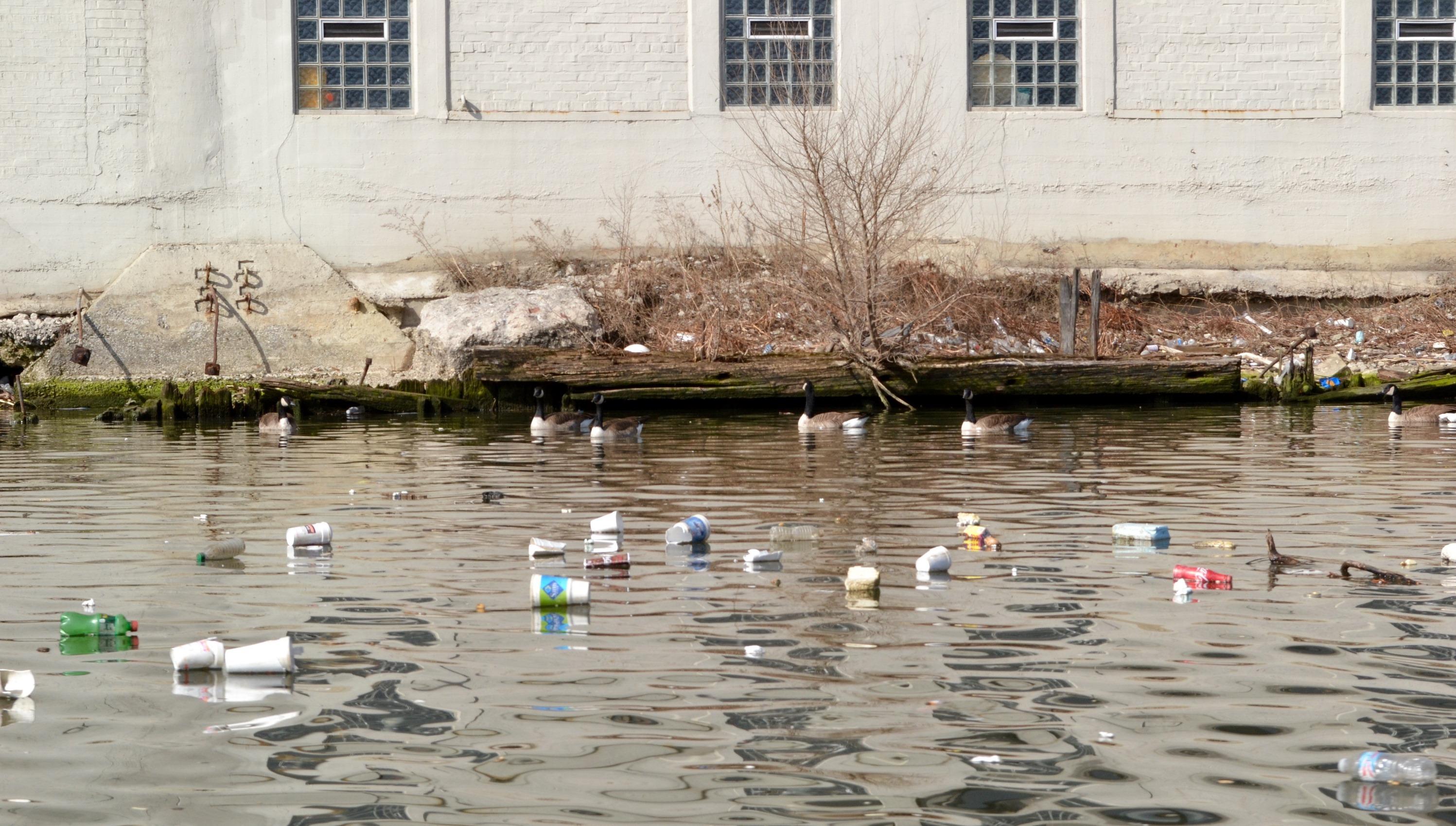 The litter in your street is one rainstorm or gust of wind away from winding up in the river. (Evan Garcia / WTTW News)