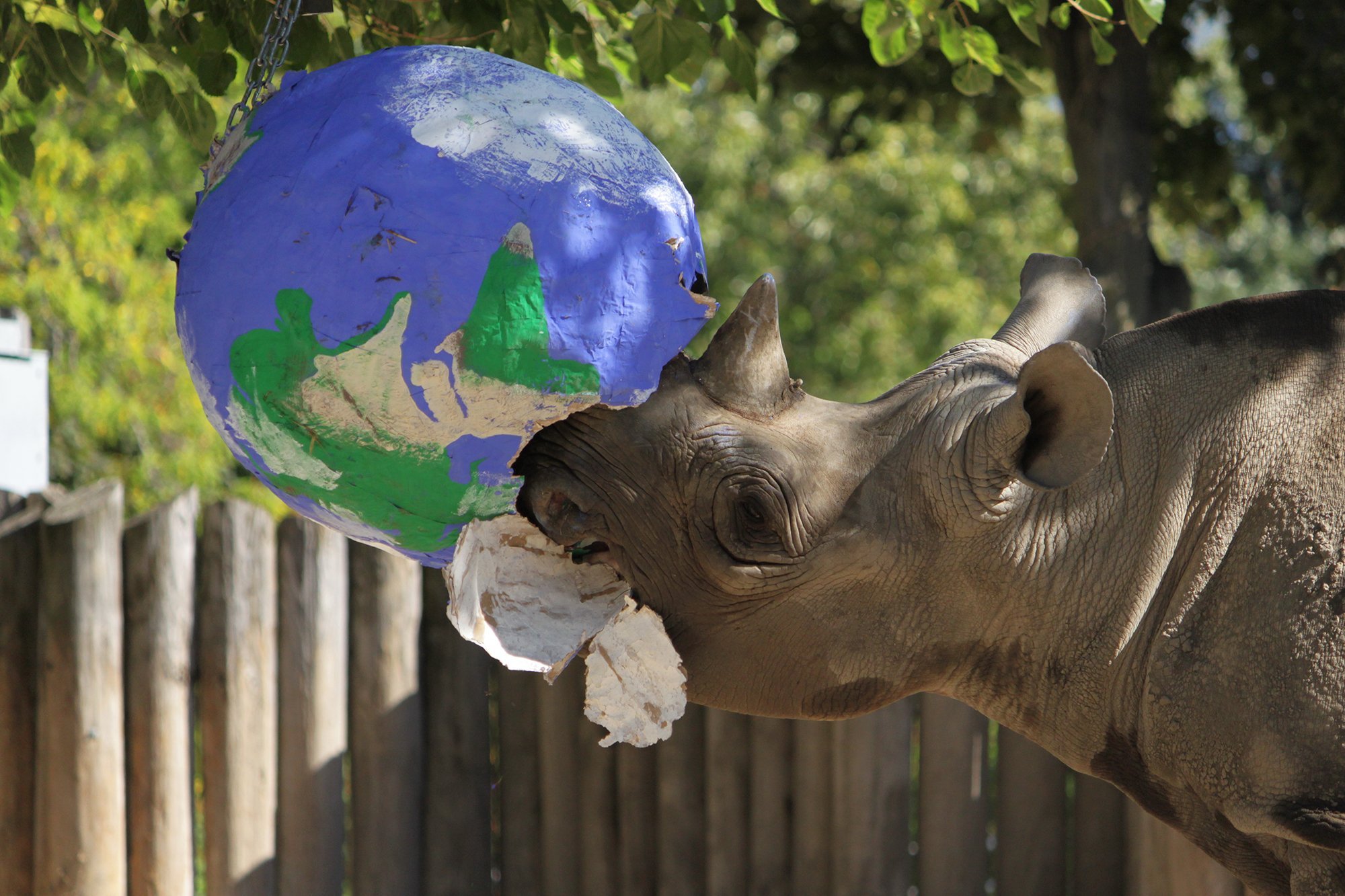 (Lincoln Park Zoo)