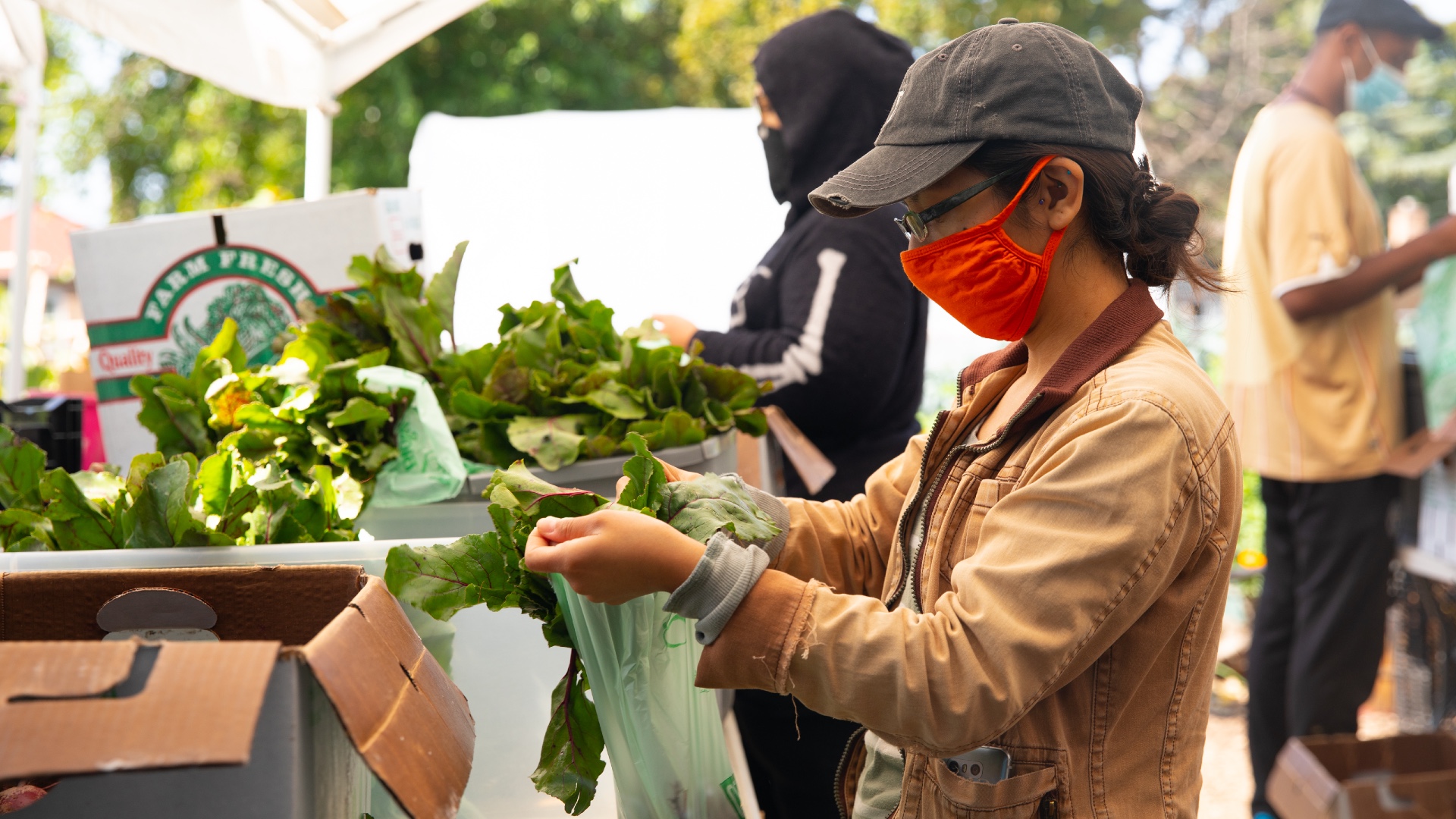 A Grocery Store Is Opening In Englewood Thanks To Organizers Who Pushed To  Bring Fresh Food To The South Side