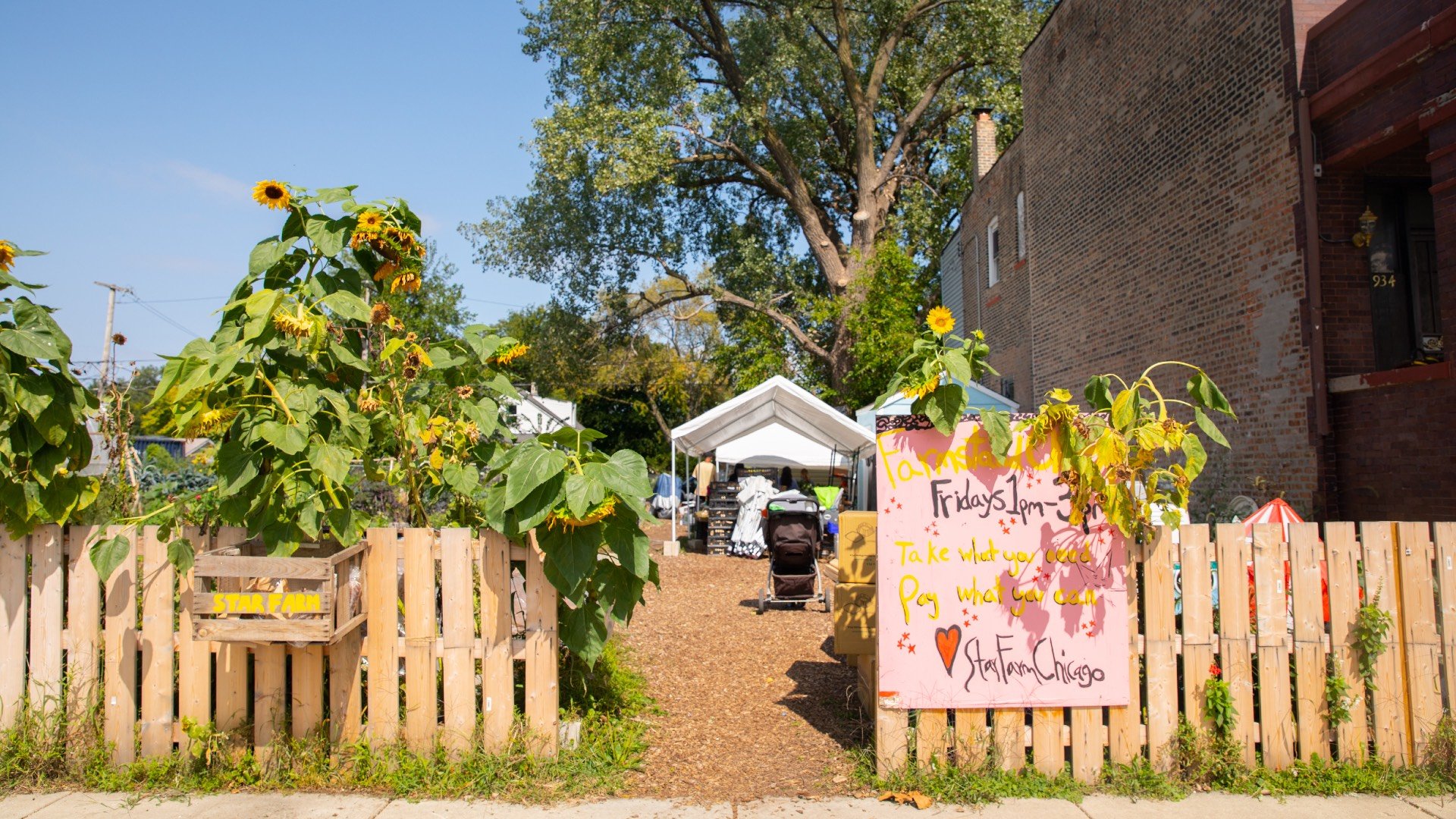 Star Farm in Back of the Yards has coordinated produce purchasing, storage, packaging and delivery for Market Box. (Davon Clark)