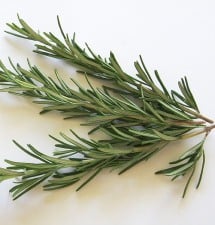 rosemary