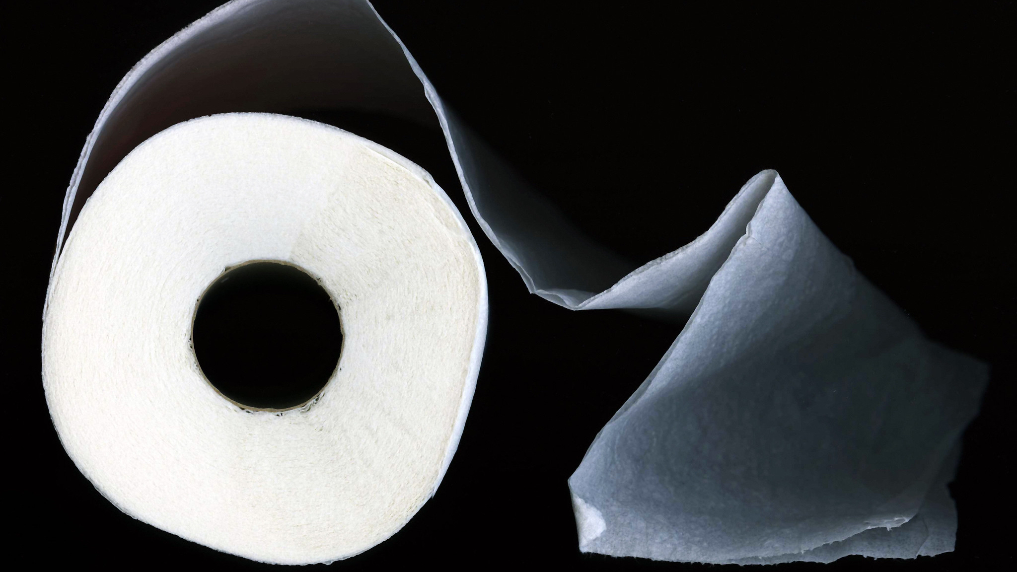 Toilet paper hoarding might be irrational, but it's in character for Americans. We love the stuff. (Sharon Mollerus / Flickr)