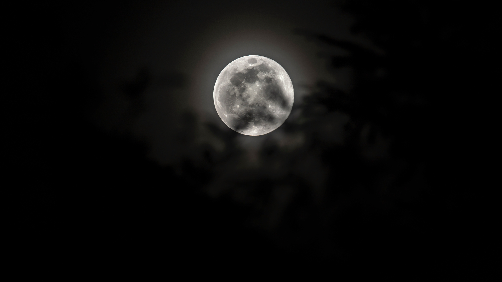 Super Worm Moon, photographed in March 2019. (Twelvizm / Flickr)