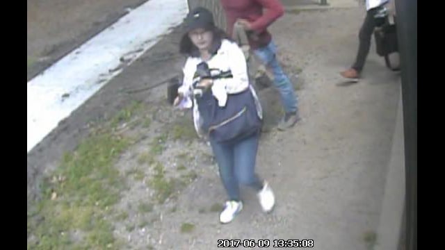 Surveillance footage showed Yingying Zhang standing outside a Champaign-Urbana Mass Transit District bus on the day of her disappearance. (University of Illinois Police Department)