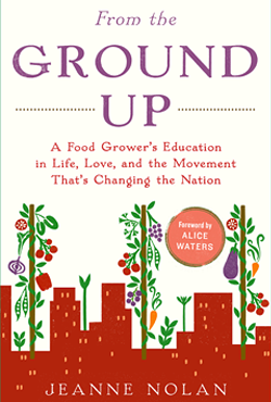 From the Ground Up by Jeanne Nolan