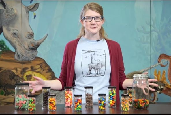 Field Museum "chief curiosity correspondent" Emily Graslie breaks down the taxonomy of candy.
