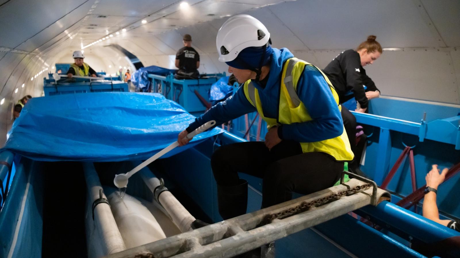 Beluga whales en route to their new home at Shedd Aquarium in Chicago, Aug. 13, 2026. (Gavin Wright / Shedd Aquarium)