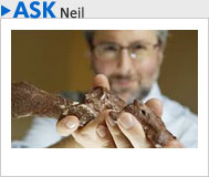 Your science questions