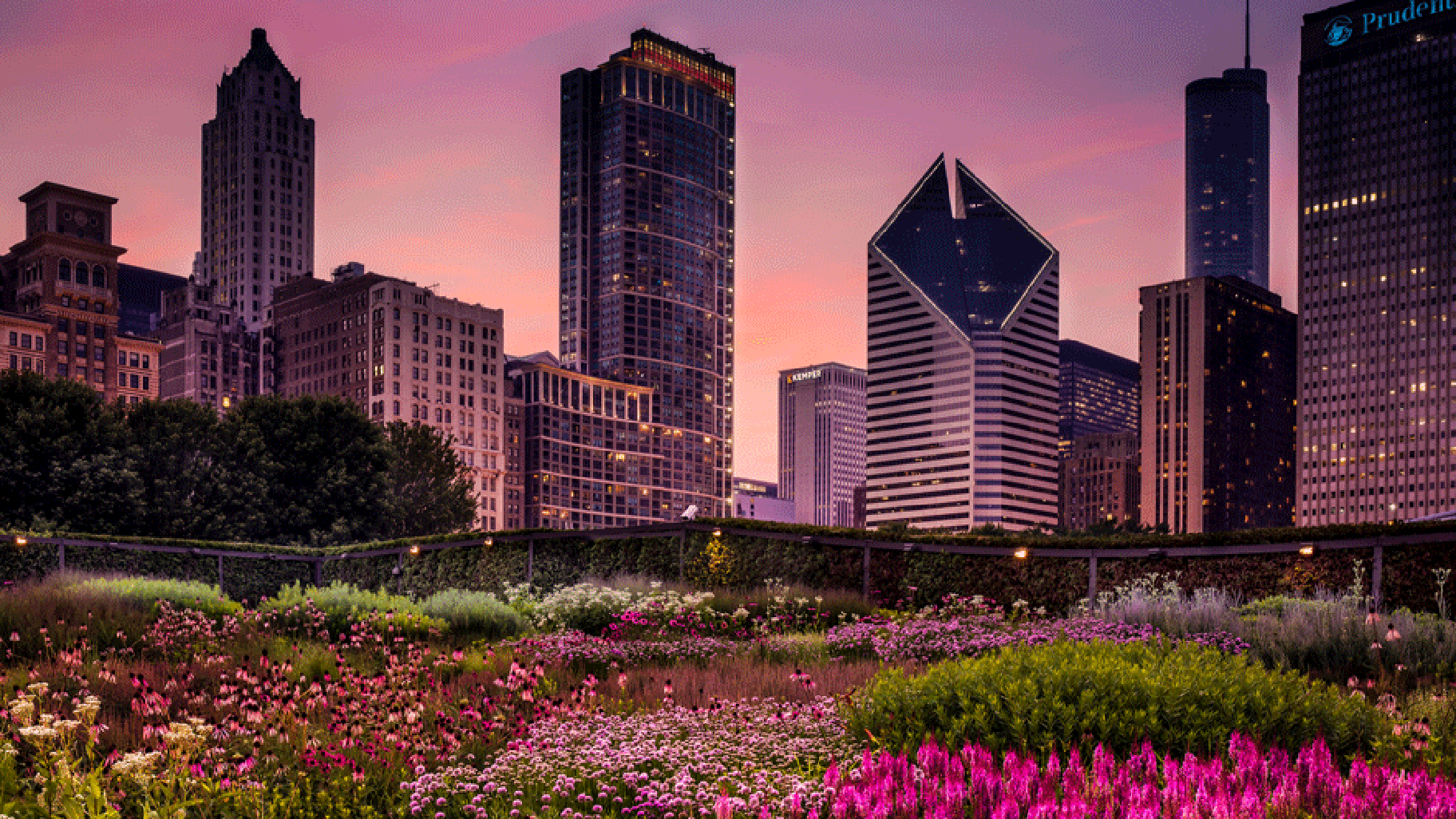 Stunning Image Of Lurie Garden Takes