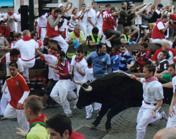 Chicago Man Gets Gored, Keeps Running with the Bulls | Chicago News | WTTW