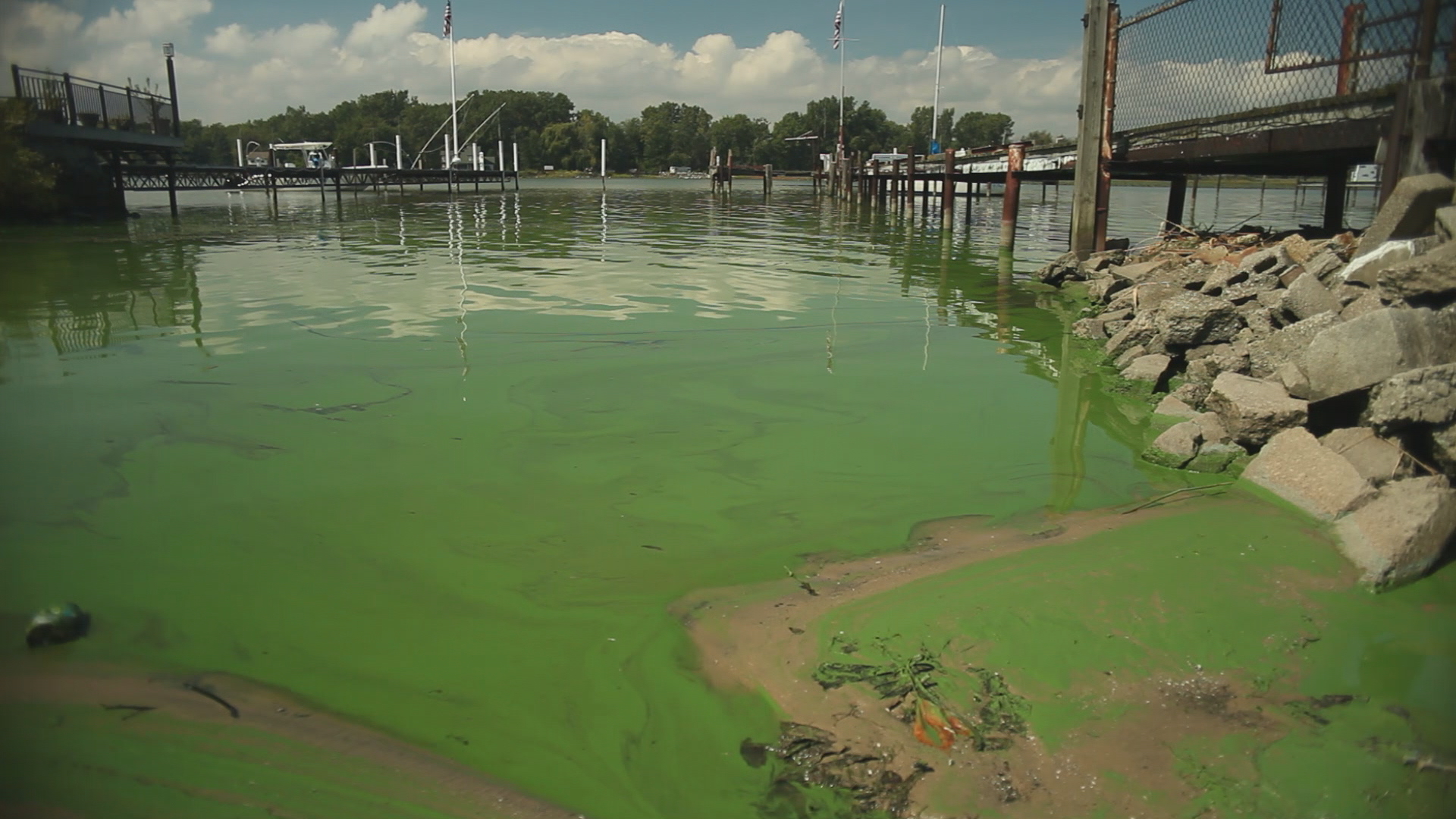 Загрязненные реки и озера россии. Озеро Мичиган загрязнение. Озеро Гурон загрязнение. Озеро Маракайбо загрязненное. Озеро Эри загрязнение.