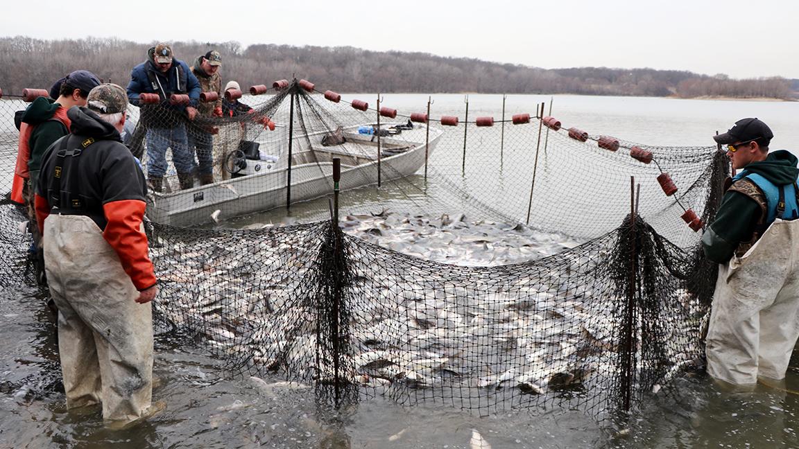 Net Catch Release Fishing Fish Nets Hand- Draft Nets