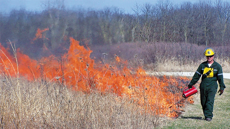 Bluff Spring Fen - Forest Preserves of Cook County