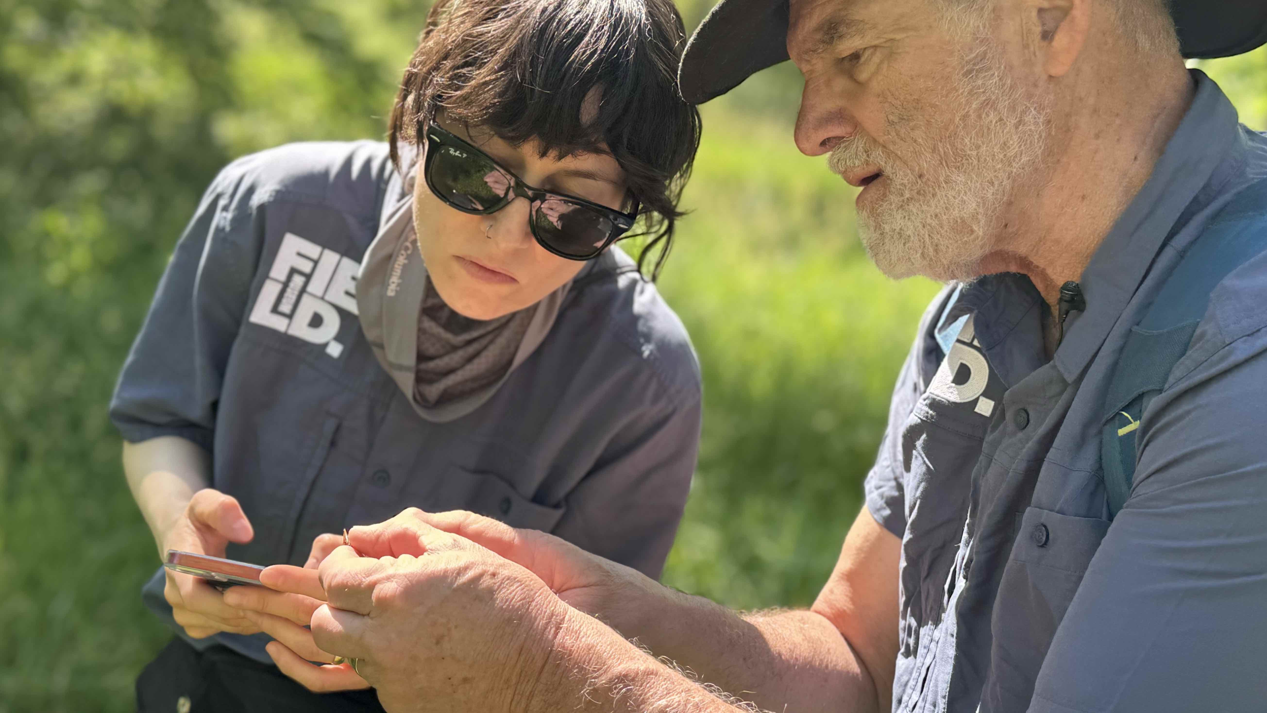 The Field Museum’s Maureen Turcatel and Jim Louderman examine a cicada specimen to add to the Field’s insect collection, May 30, 2024. (Patty Wetli / WTTW News)