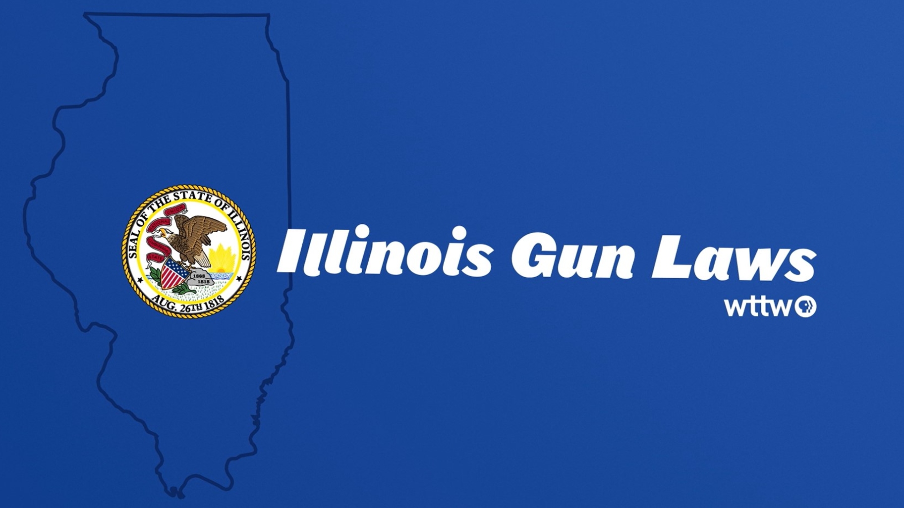 WTTW News Explains: What Are Illinois’ Gun Laws? | Chicago News | WTTW