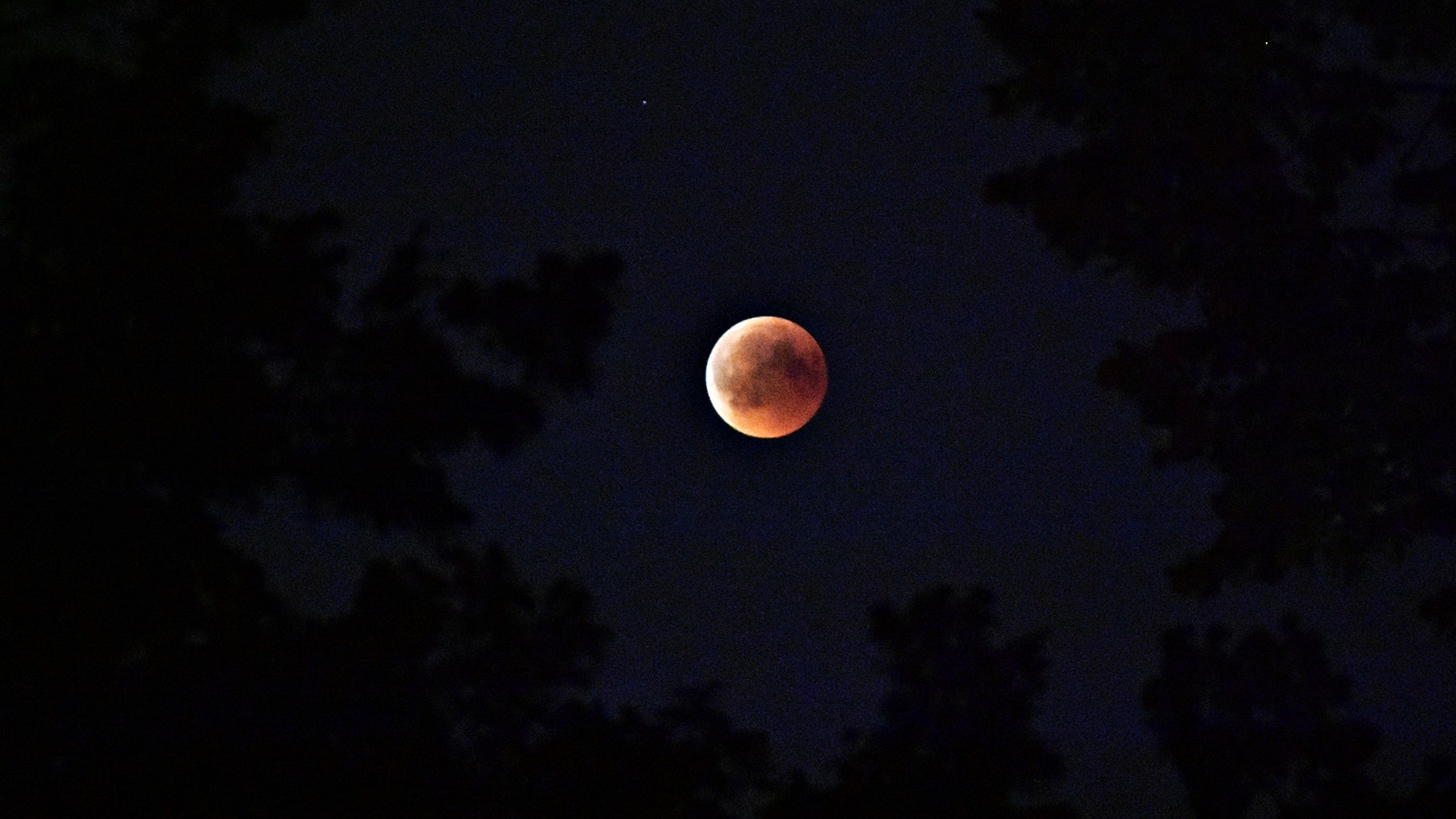 Lunar Eclipse Lives Up to Hype, Clear Skies Give Chicagoans an Eyeful