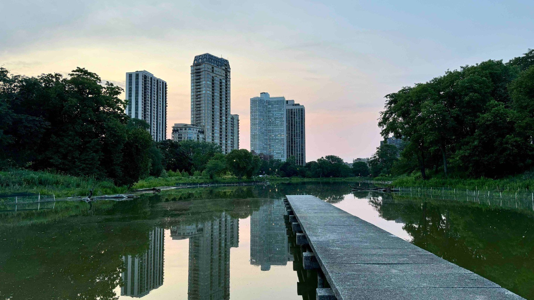 Is There an Alligator in Lincoln Park’s North Pond? | Vacated ...