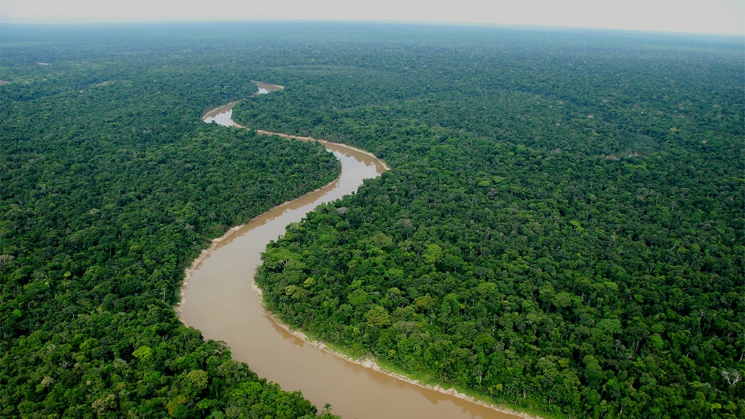 Field Museum Scientists Help Protect 2 Million Acres of Rainforest ...