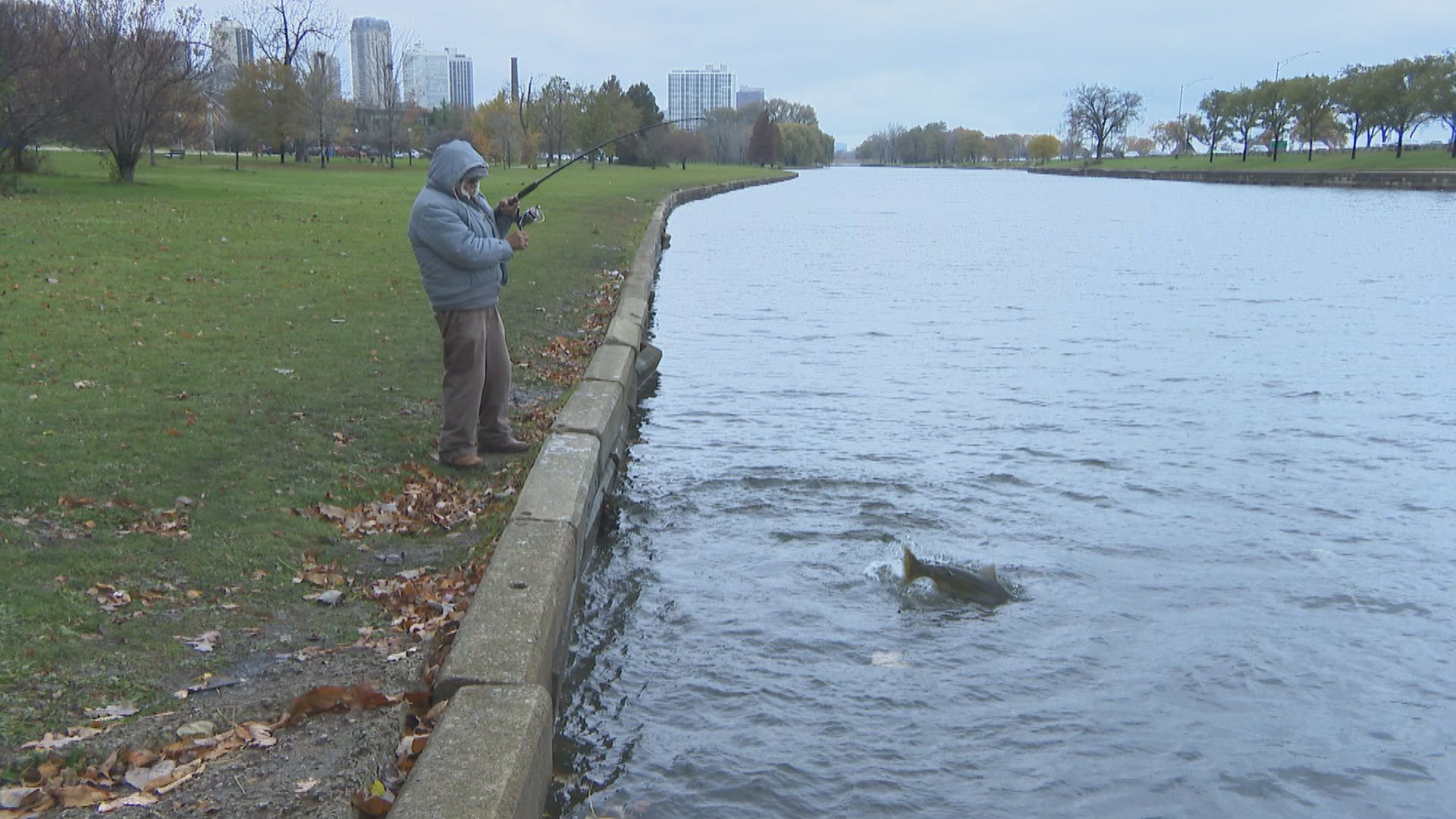 A Controversial Fishing Style: Snagging for Salmon in Chicago