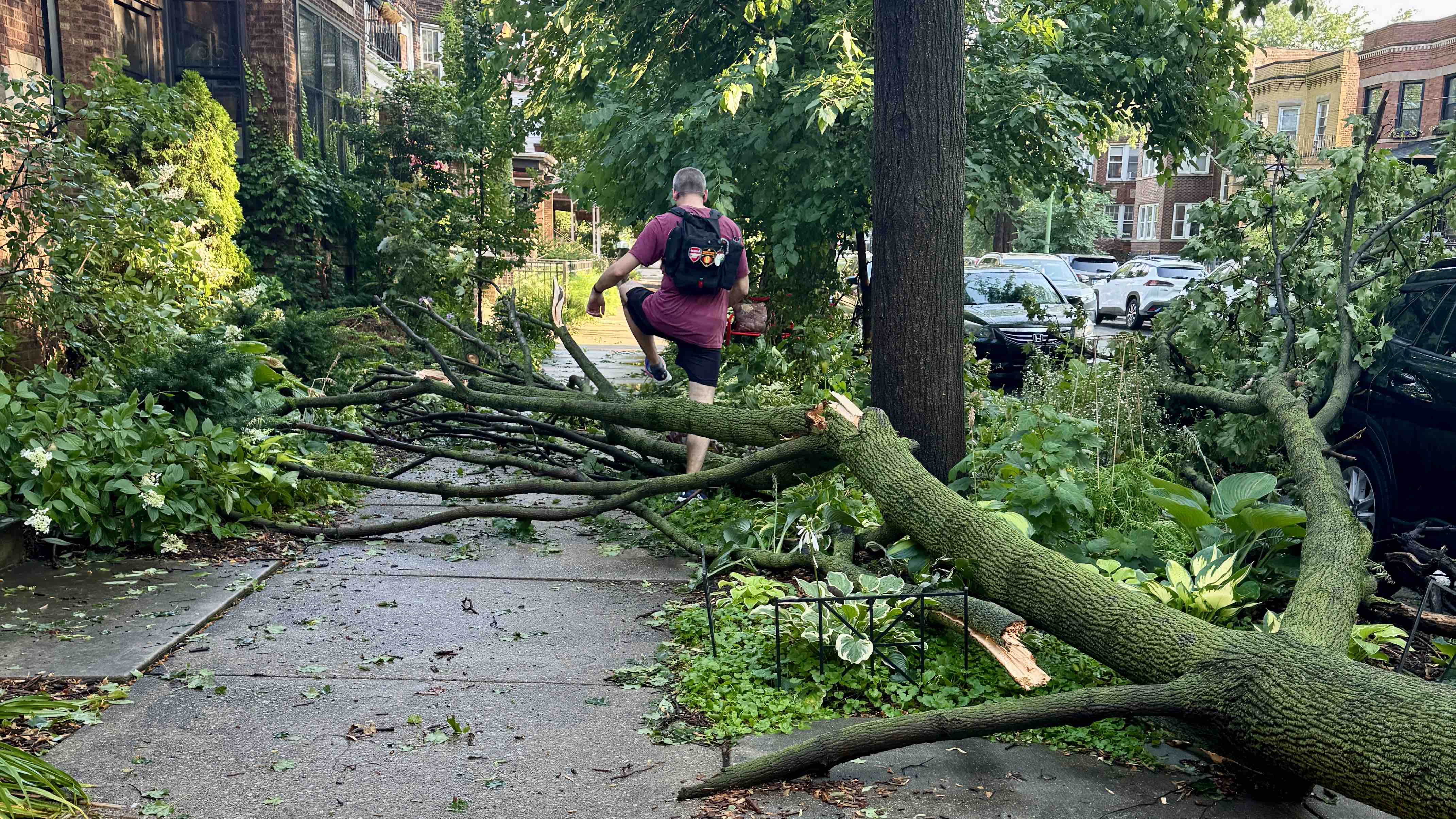 Chicago Area Cleaning Up After Powerful Storms Cause Flooding and Downed Trees