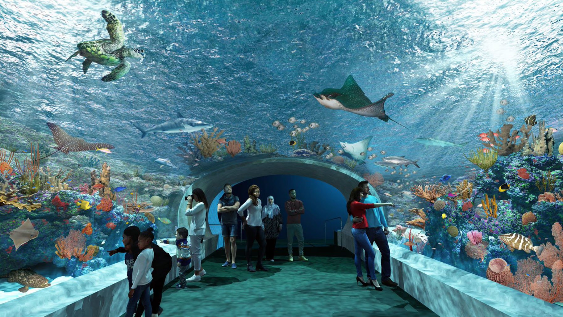 Shedd Aquarium Embarks on $500M Transformation, Chicago News