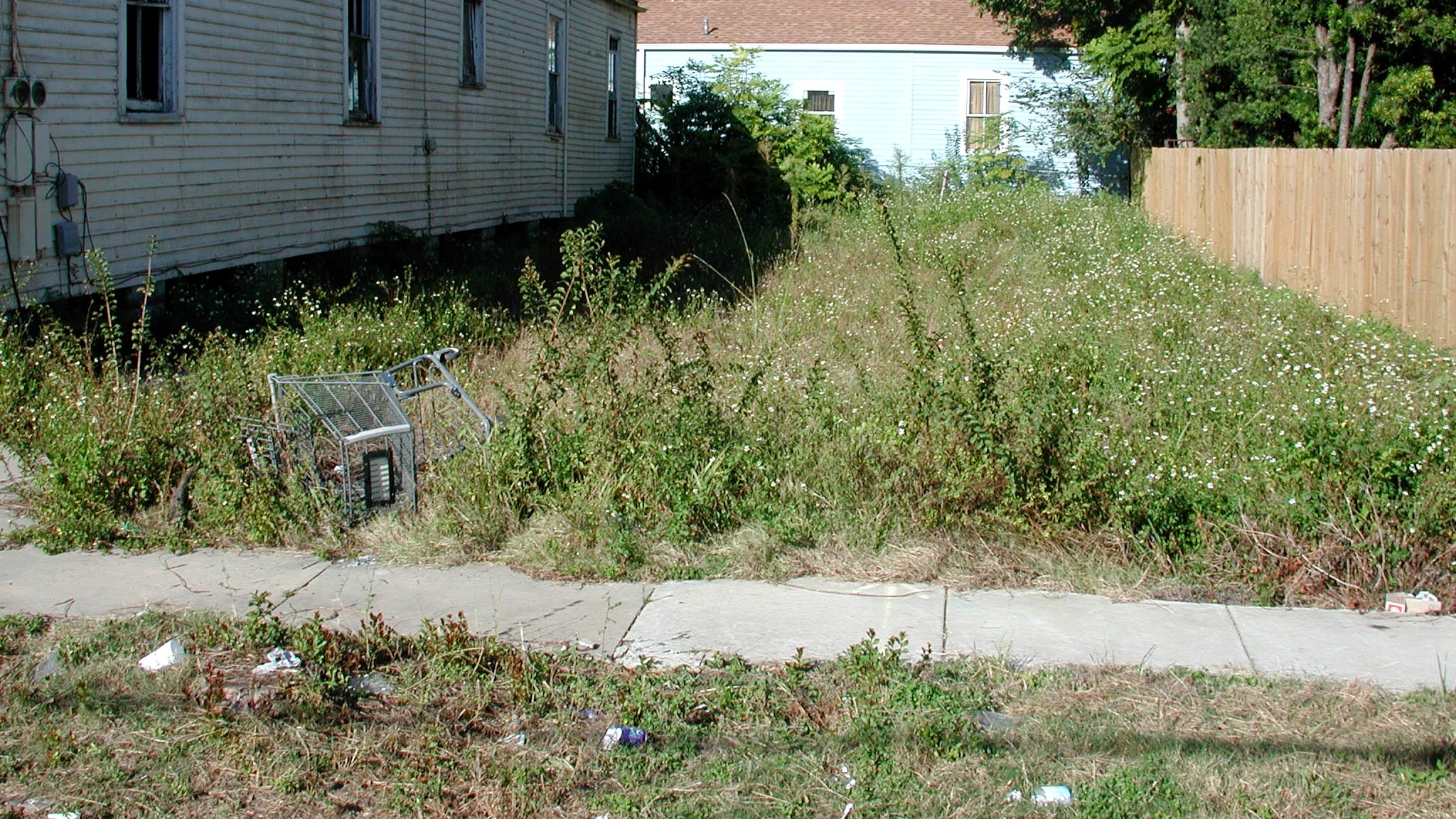 chicago land clearance commission blight definition