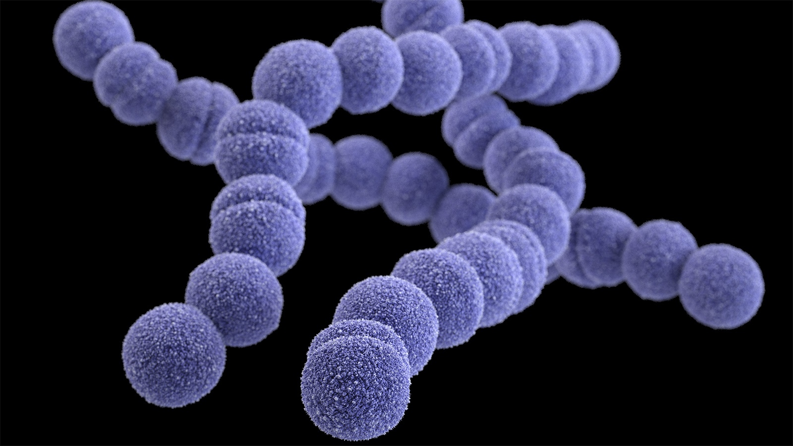 Apparent Rise in Strep Infections in Children Under Investigation by