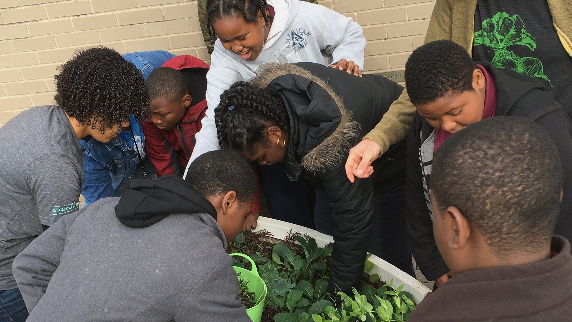 Community Learning Garden