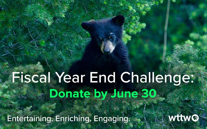 Support the WTTW Fiscal Year End Challenge