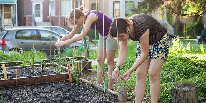 Corner Farm garden