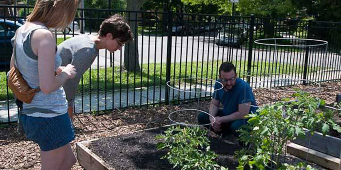 Land on Lincoln garden