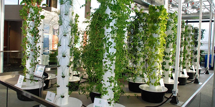 O'Hare International Airport garden