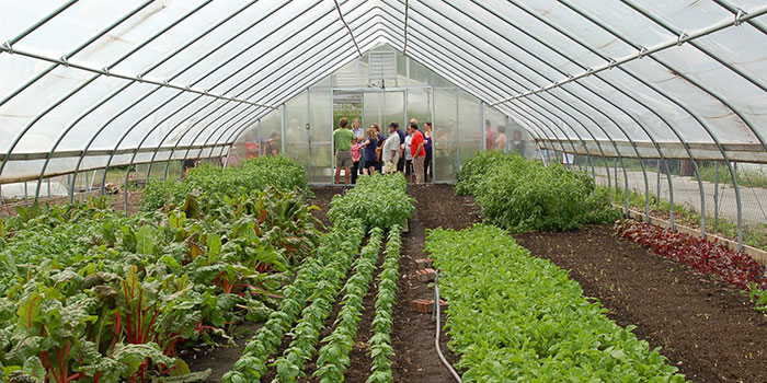 Wood Street garden