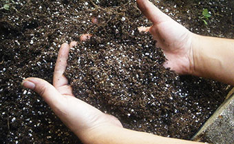 Soil