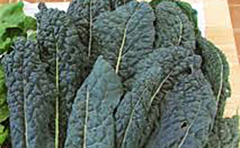 Kale leaves