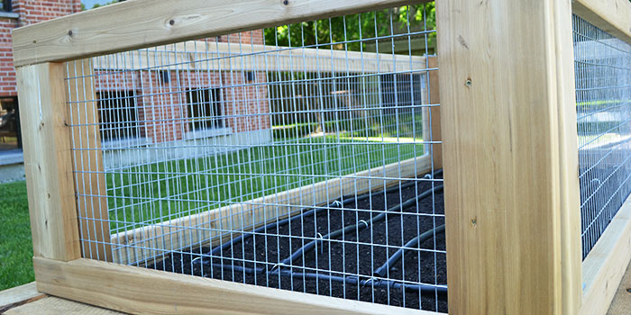 Garden with fence around