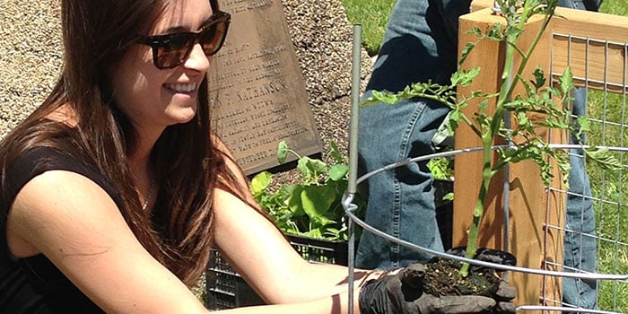 Female planting seedling in soil