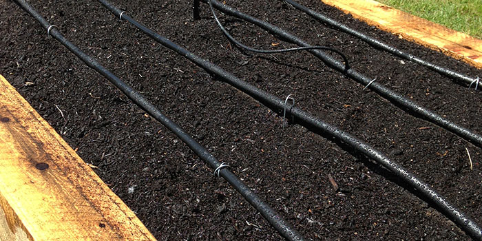 Example of garden drip-line irrigation