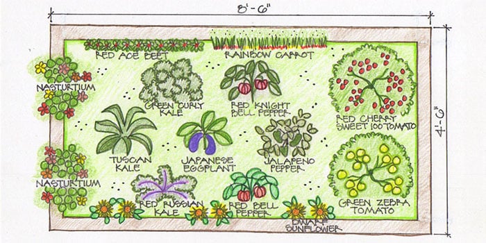 Garden map illustration