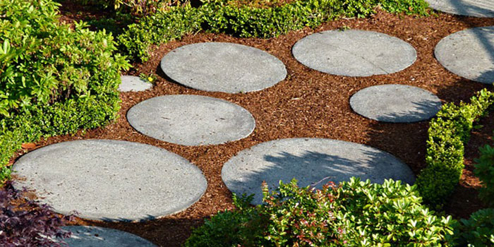 Garden with paths