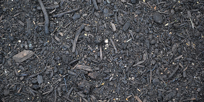 Soil