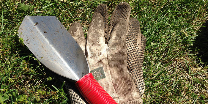 Trowel and gloves