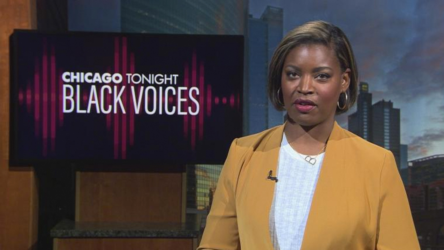 Black Voices Video Archive | Chicago News | WTTW