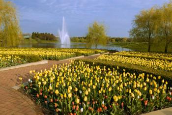 The Crescent Garden in spring