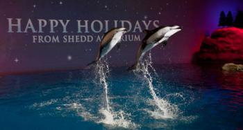 Courtesy of Shedd Aquarium 