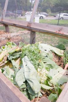 Vermicomposting bins. Courtesy: Robin Carlson, Chicago Botanic Garden.