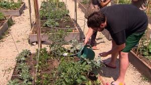 Andrew Karl waters his plants