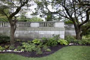 Rain Garden ©Shedd Aquarium/Sally Ryan