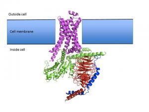 Photo courtesy Argonne National Laboratory